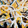 Snow on Forsythia 2 by Gail Vogels